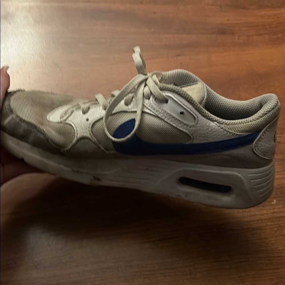 Nike Air Max Sneakers in Blue and White
